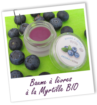 Baume à lèvres BIO au karité et à la MYRTILLE Aroma-Zone