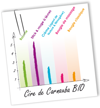 Cire Carnauba BIO Aroma-Zone Cire Carnauba BIO Aroma-Zone