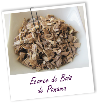 Shampooing végétal Bois Panama Aroma-Zone Shampooing végétal Bois Panama Aroma-Zone