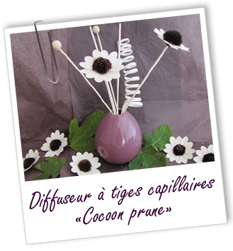 Diffuseur de senteurs à tiges 