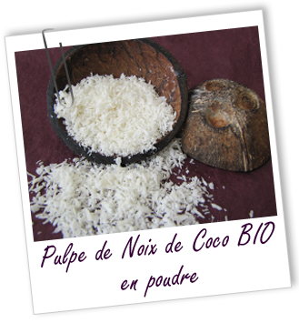Exfoliant Pulpe de Noix de Coco BIO Aroma-Zone