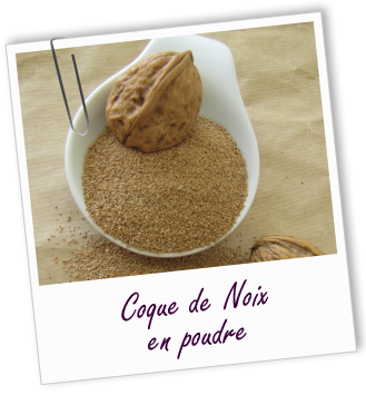 Exfoliant Coque de Noix en poudre Aroma-Zone