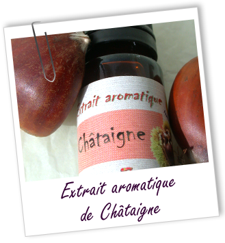 Extrait aromatique naturel Marron glacé Aroma-Zone