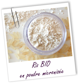Poudre Riz micronisée BIO Aroma-Zone Poudre Riz micronisée BIO Aroma-Zone