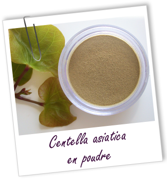 Poudre Centella asiatica BIO Aroma-Zone