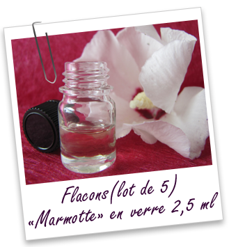 Flacons en verre 2.5 ml Flacons en verre 2.5 ml