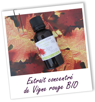 Extrait Vigne rouge BIO Aroma-Zone