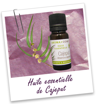 Huile essentielle Cajeput BIO Aroma-Zone