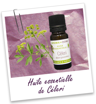 Huile essentielle Céleri BIO Aroma-Zone Huile essentielle Céleri BIO Aroma-Zone