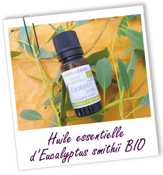 Huile essentielle Eucalyptus smithii BIO Aroma-Zone