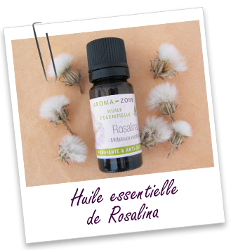 Huile essentielle Rosalina Aroma-Zone