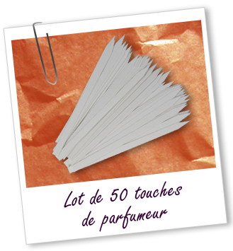 Touches de parfumeur (lot de 50) Aroma-Zone