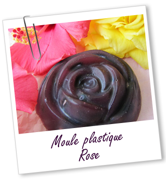 Moule plastique Moule plastique