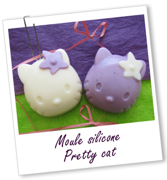 Moule en silicone Moule en silicone