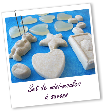 Set mini moules savons plastique Aroma-Zone