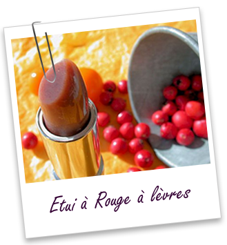 Etui rouge à lèvres vide gris givré Aroma-Zone