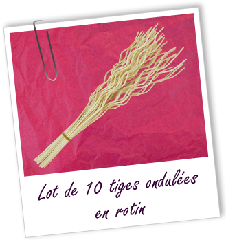 Tiges ondulées en rotin (lot de 10) Aroma-Zone