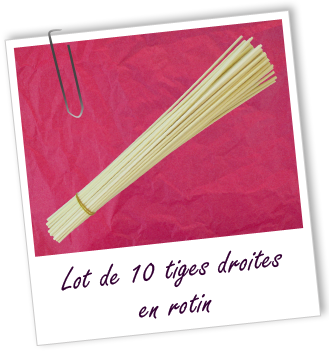 Tiges droites en rotin (lot de 10) Aroma-Zone