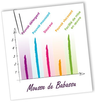 Tensioactif Mousse de Babassu Aroma-Zone