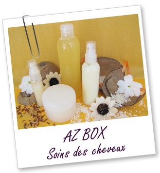 Coffret cosmétique maison - AZ BOX SOINS CHEVEUX 2012 Aroma-Zone Coffret cosmétique maison - AZ BOX SOINS CHEVEUX 2012 Aroma-Zone
