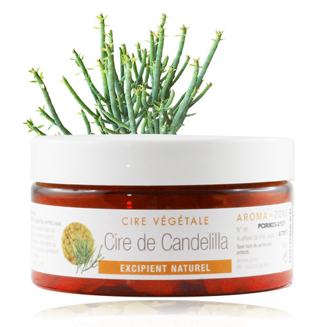 Cire de candelilla