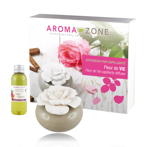 Diffuseur par capillarité