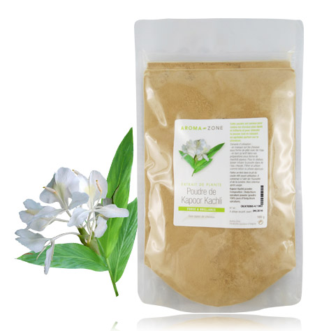 Plante ayurvédique Kapoor Kachli