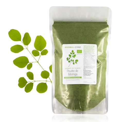 Extrait de plante Moringa BIO en poudre