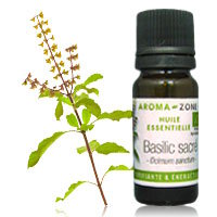Huile essentielle de Basilic Sacré