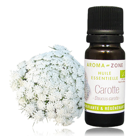 Huile essentielle de Carotte