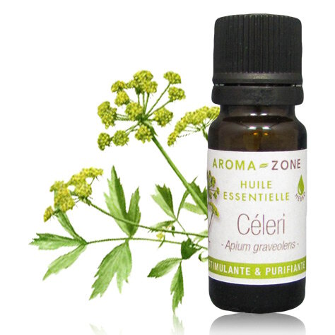 Huile essentielle de Céleri