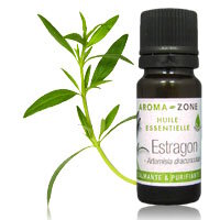 Huile essentielle
Estragon 