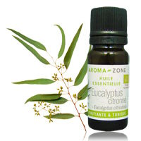 Huile essentielle d'Eucalyptus citronné  BIO