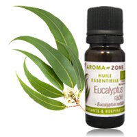 Huile essentielle d'Eucalyptus radié BIO 