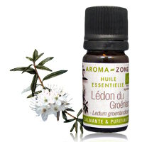 Huile essentielle Ledon du groenland BIO* - 5 ML