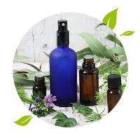 Piqûres d'insectes et autres animaux