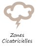 Zones cicatricielles