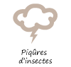 Piqûres d’insectes