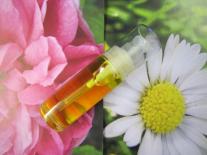 Soin Cou et Décolleté au macérât de Bellis tenseur