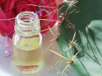 Elixir de beauté jeunesse à la Rose et à l'Iris 