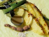 Gel Ananas et Ginseng  anti-capitons 