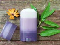 Déodorant stick Pierre d'Alun & Tea Tree