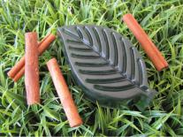 Savon anti-odeur de cuisine Feuilles de Cannelle & Figuier