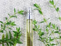 Spray assainissant d'ambiance