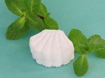 Galets détartrants WC 